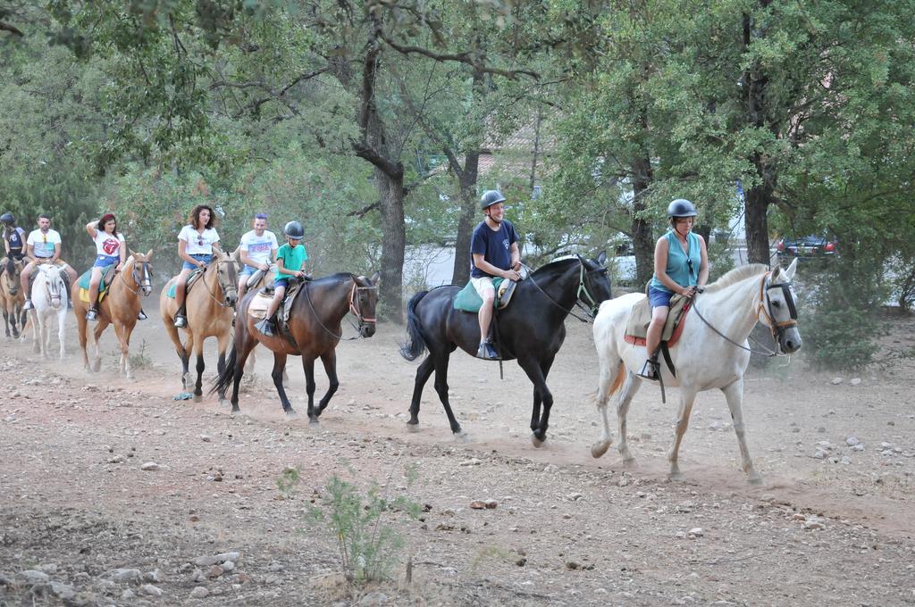 Alojamientos Rural Tejerina Arroyo Frio Luaran gambar